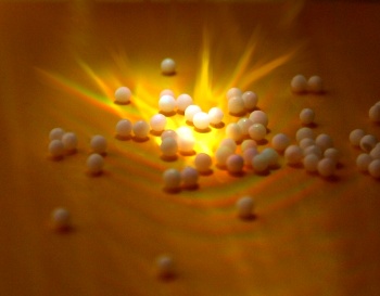 Therapie: Hom&ouml;opathie